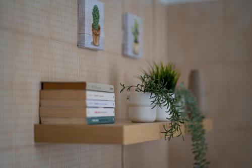 a shelf with books and a potted plant on it at DREAMS IN ROME - COLOSSEUM APARTMENT in Rome