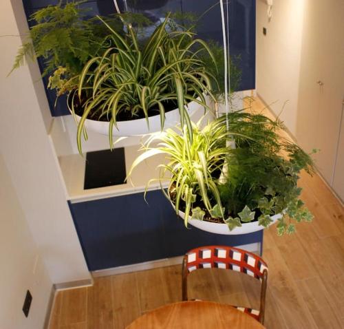 Apartamento por temporada Centro Diseño Madrid