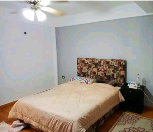 Gallery image of Shared apartment in Alexandria