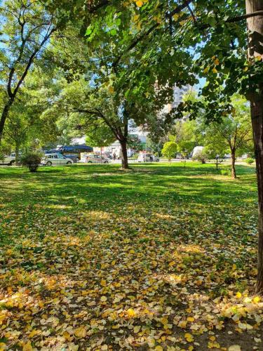a pile of leaves on the grass in a park at MIA apartment in Skopje