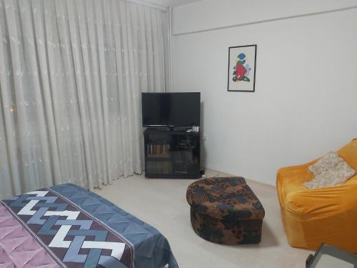 uma sala de estar com um sofá e uma televisão em MIA apartment em Skopje
