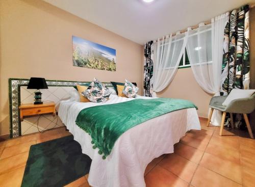 um quarto com uma cama verde e branca com uma cadeira em El Roble em Puerto de la Cruz