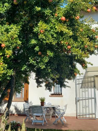 Imagen de la galería de Villa Ma.Ja., en Vascon