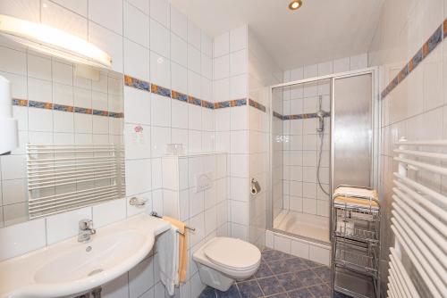 a bathroom with a toilet and a sink and a shower at Pension Cäcilia in Pöllau