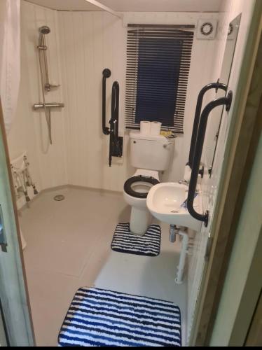 a small bathroom with a toilet and a sink at Lyons Winkups towyn 6 berth fully adapted caravan in Kinmel Bay