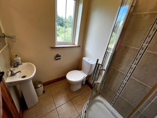 a bathroom with a shower and a toilet and a sink at Drumbar Lodge in Carterʼs Bridge