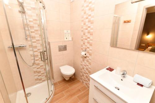 ein Bad mit einer Dusche, einem WC und einem Waschbecken in der Unterkunft HOTEL RESTAURANT LE CENTRE in Lélex