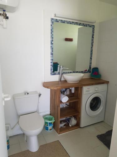 une salle de bain avec toilettes et lavabo et une machine à laver dans l'établissement GRAND TI-BOU Gwada breizh, à Saint-François