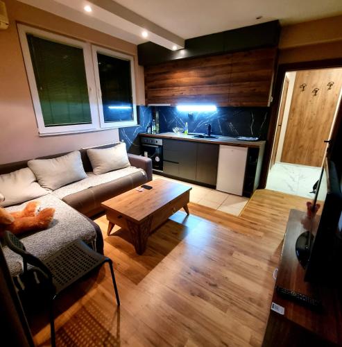 ELISA Apartment 20B Center-Skopje