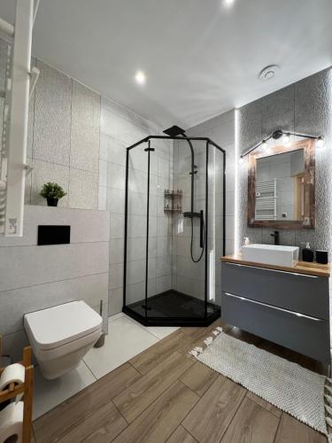 a bathroom with a shower and a toilet and a sink at Góralski House in Zakopane