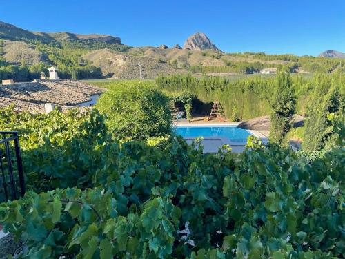 Výhled na bazén z ubytování Casas Rurales el Cabezo de la Torre nebo okolí