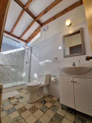 y baño con aseo y lavamanos. en Hostel Torobayo en Valdivia