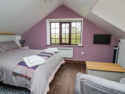 two beds in a room with a purple wall at Tancoed in Aberystwyth