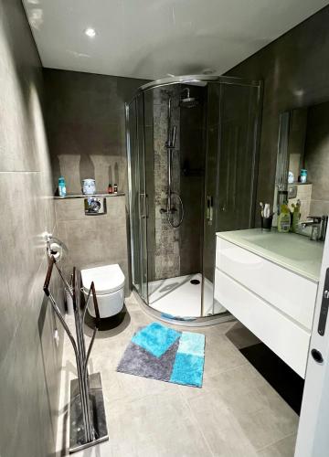 une salle de bain avec une douche, des toilettes et un lavabo dans l'établissement Maison enchanteresse à Santo-Pietro-di-Tenda avec jacuzzi, à Santo-Pietro-di-Tenda