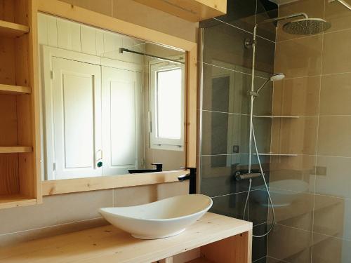 La salle de bains est pourvue d'un lavabo et d'une douche en verre. dans l'établissement Village de Gites le Colombier, à Mende