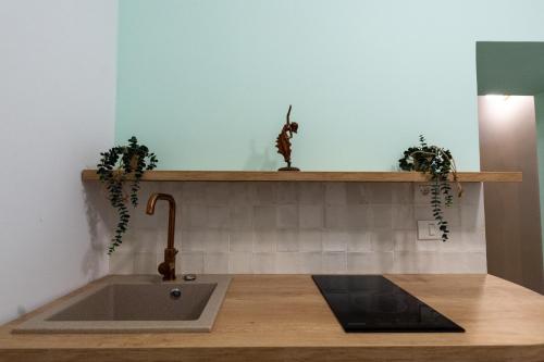 a kitchen sink with two potted plants on a shelf at Apollo Brașovul Istoric in Braşov