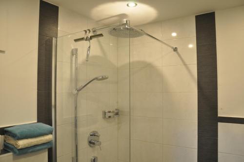 a shower with a glass door in a bathroom at Himmelsbögen und Apartments mit Seeblick und Alleinlage in Weissensee