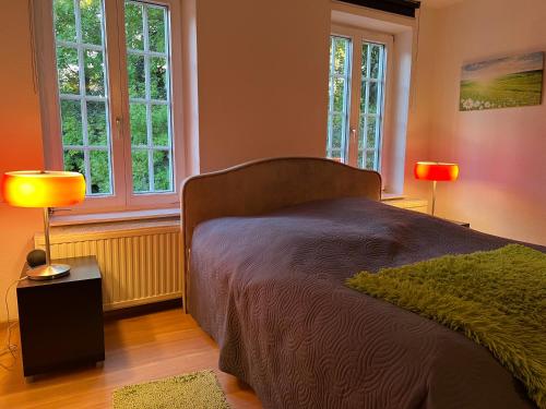 1 dormitorio con 1 cama con 2 lámparas y ventanas en Apartment 2 Am Damm, en Quedlinburg