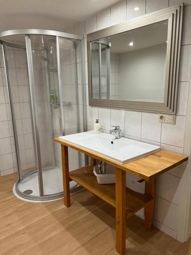 y baño con lavabo y ducha. en Apartment 2 Am Damm, en Quedlinburg