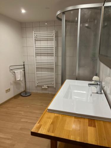 y baño con lavabo blanco y ducha. en Apartment 2 Am Damm, en Quedlinburg