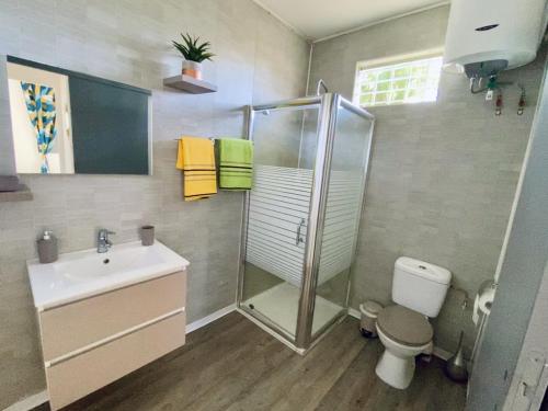 a bathroom with a shower and a sink and a toilet at Square Village in Capesterre-Belle-Eau