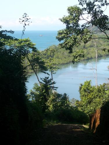 a view of a body of water with trees at Encanto Lodge in Drake
