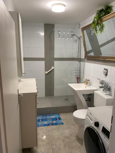 ハノーファーにあるApartment Hannover Messeのバスルーム(トイレ、洗面台、シャワー付)