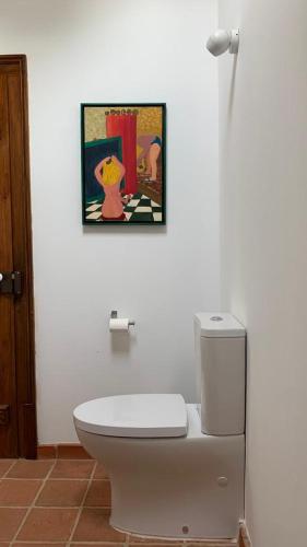 a bathroom with a toilet and a picture on the wall at Quinta de SantAna da Várzea in Abrantes