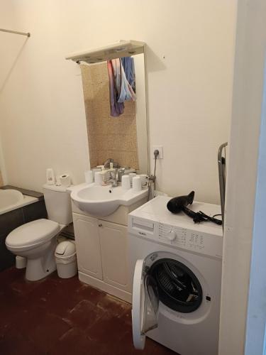 uma casa de banho com uma máquina de lavar roupa e um lavatório em Jolie studio em Saint-Pourçain-sur-Sioule