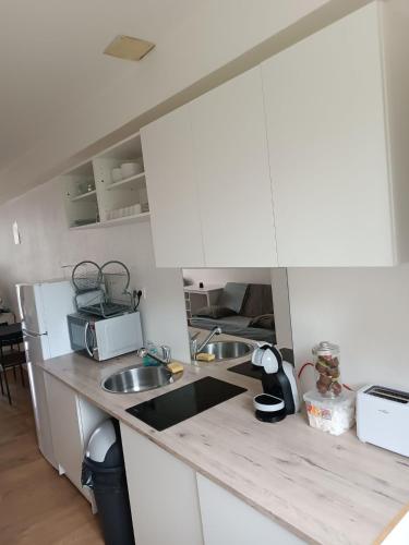 a kitchen with two sinks and a microwave at Jolie studio in Saint-Pourçain-sur-Sioule