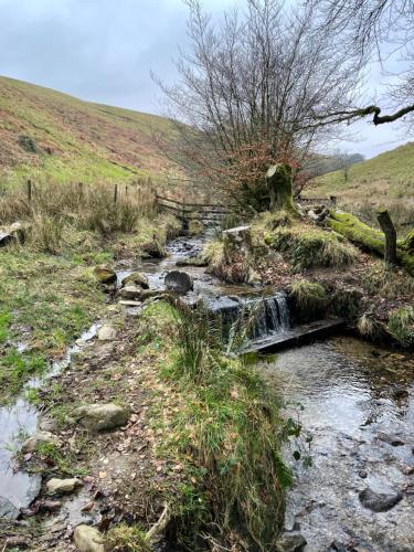 a stream of water in a field with a tree at The Hayloft, Exmoor in Withypool