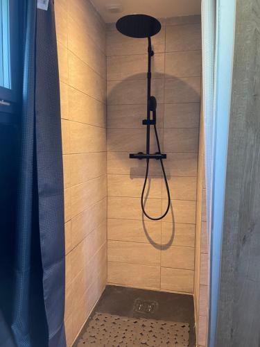 Saint-CerguesにあるEntre Annecy Geneve et Evian 2のバスルーム(黒いシャワーヘッド付きのシャワー付)が備わります。