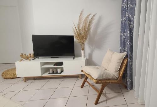 a living room with a tv on a white cabinet at Appartement 63 m2, tout confort, climatisé. in Saint-Cyprien