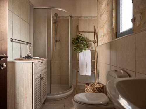 a bathroom with a shower and a toilet and a sink at Villa Zakynthos in Skinária