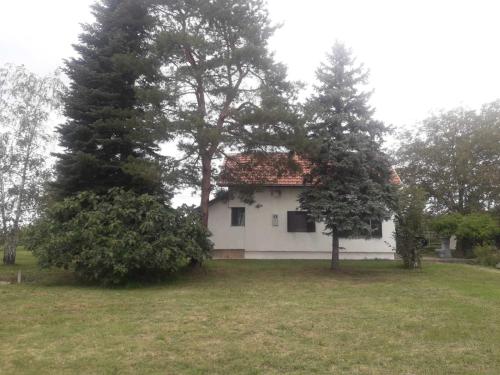 a white house with two trees in a field at Resetovac in Batočina
