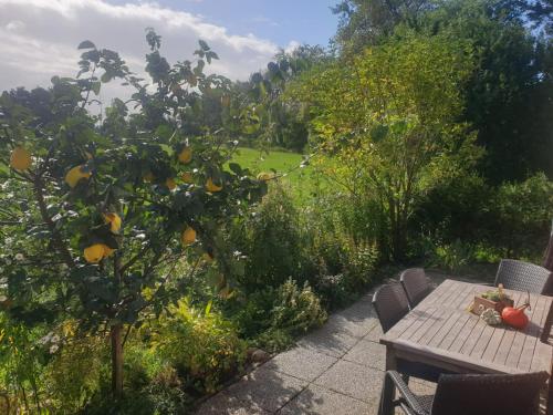 a patio with a table and an orange tree at Ferienwohnung Medemgarten in Neuenkirchen