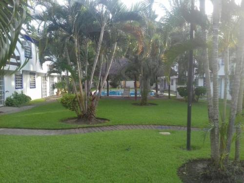 a green yard with palm trees in front of a house at Casa en la zona de Acapulco diamante in La Sabana