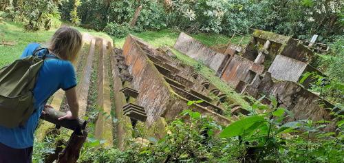 a woman standing on a fence looking at an old ruins at Montaña Linda Hostel Orosi in Orosí
