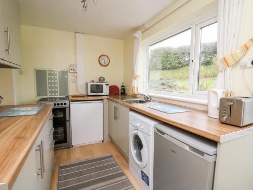 a kitchen with a washer and dryer and a window at Llwynon in Aberystwyth