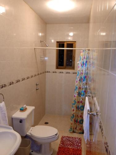 a bathroom with a toilet and a shower at La Casa Rosa Guanajuato in Guanajuato