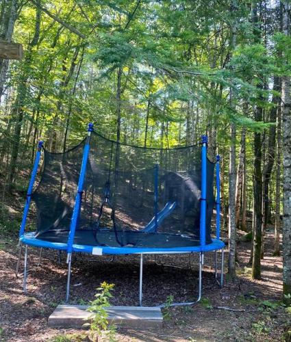 a batting cage with a bear in the woods at Chalet La Canopée -familial par excellence MontBlanc in Mont-Blanc