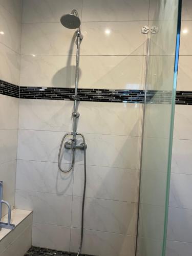 um chuveiro com uma porta de vidro na casa de banho em Die grüne Mitte em Pullenreuth