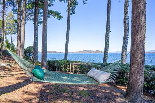 a hammock with a view of the water at Alton Bay Lakefront Beauty in Alton Bay