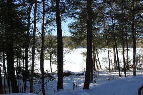 Dog Cove Hideaway – Photos 3