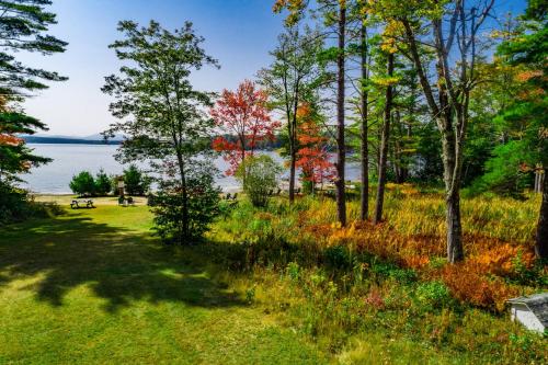 Clark's Landing Cottages 9 – Photos 2