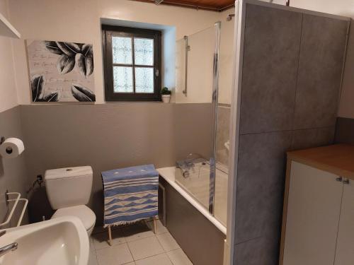 une salle de bain avec une douche, des toilettes et un lavabo dans l'établissement La Ginelle - Appartement Terrasse, à Airoux