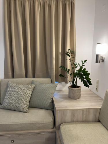 a couch with a potted plant in front of a curtain at Matala Prime Villas in Matala