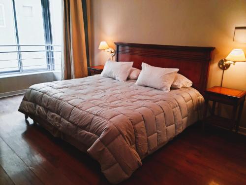 1 dormitorio con 1 cama grande y 2 almohadas en Estudio / monoambiente ubicación privilegiada, en Mendoza