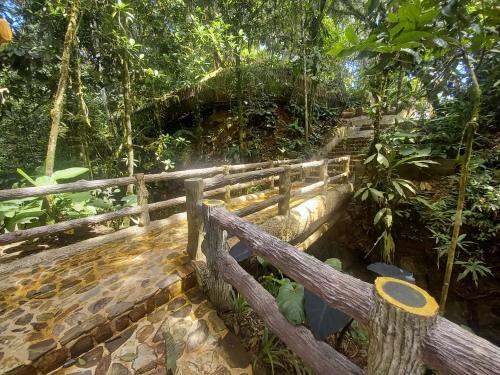 a wooden bridge in the middle of a forest at ECO HOTEL RIO DE ORO in San Rafael