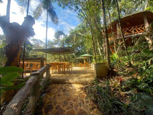un patio con tavoli e ombrelloni in una foresta di ECO HOTEL RIO DE ORO a San Rafael